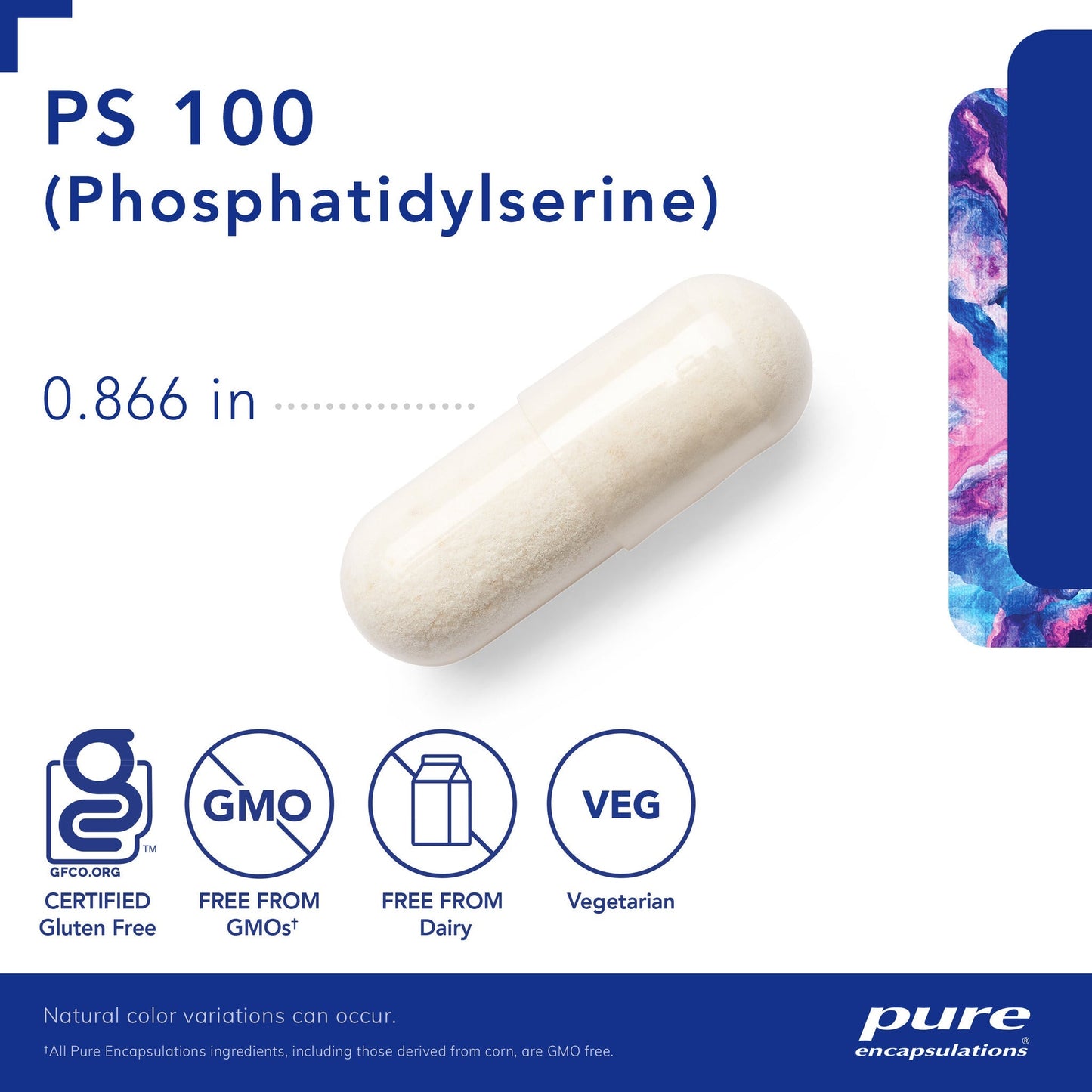 PS 100 (phosphatidylserine)